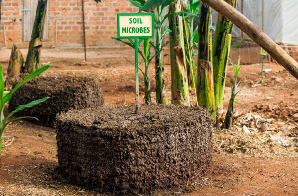 One-Acre-Unlimited-FARM-PROFILE-4 One-Acre-Unlimited-FARM-PROFILE-4