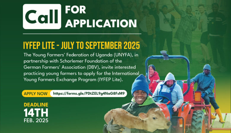 CALL FOR APPLICATIONS FOR THE IYFEP LITE 2025.