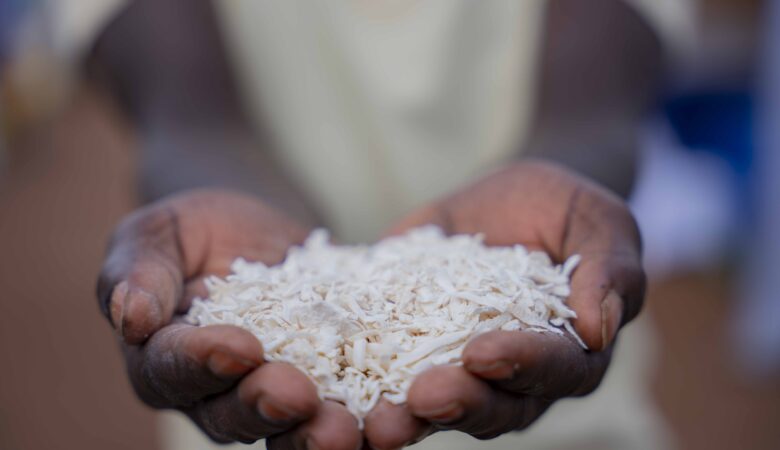 Nakasongola Young Farmers embrace cassava value addition