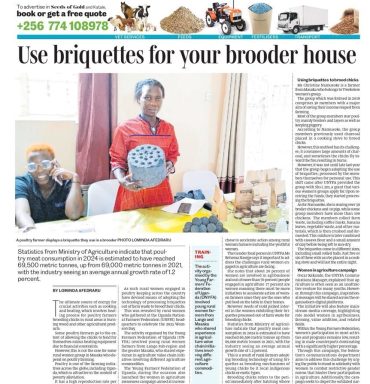 How Christine Namusoke is using briquettes to brood poultry