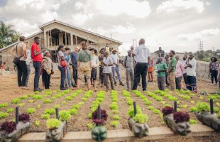 Farm tour Frequently Asked Questions (FAQs)