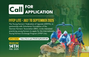 CALL FOR APPLICATIONS FOR THE IYFEP LITE 2025.