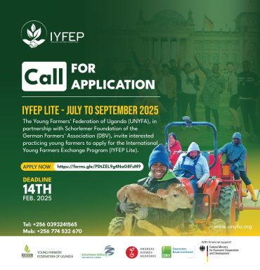 CALL FOR APPLICATIONS FOR THE IYFEP LITE 2025.