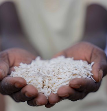 Nakasongola Young Farmers embrace cassava value addition