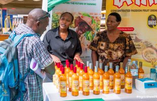 How mother and daughter are championing passion fruits value addition