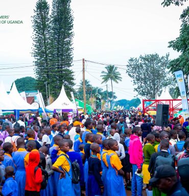 Celebrating all exhibitors & participants in the national agricultural shows